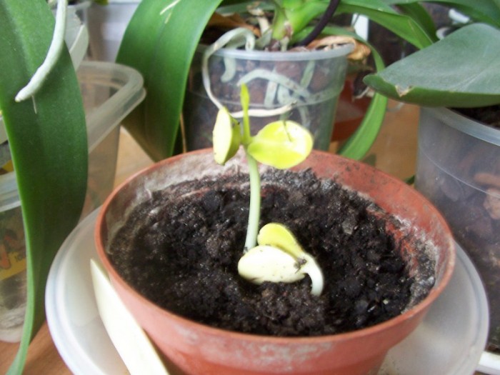 Obraz 288_800x600.jpg