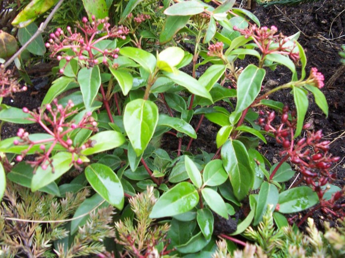 Obraz 204_1024x768.jpg