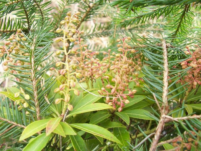 Obraz 214_1024x768.jpg