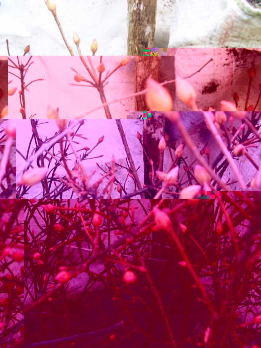 Obraz 216_576x768.jpg