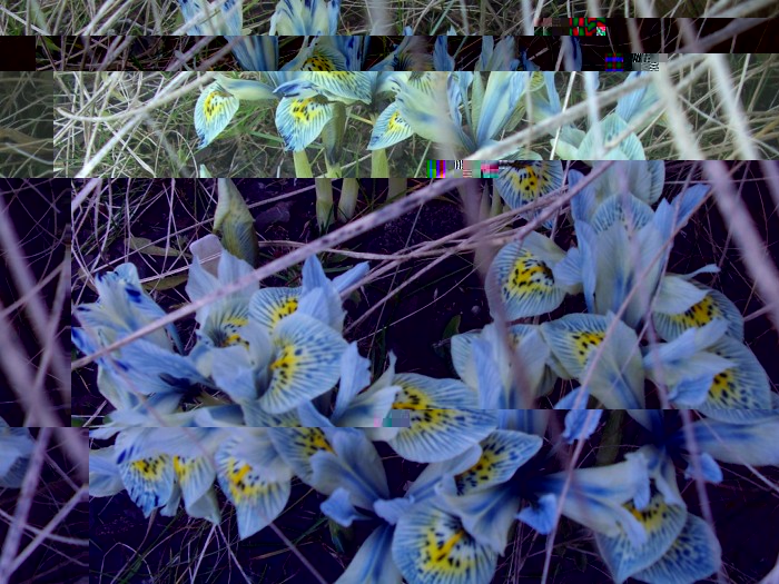 Obraz 290_1024x768.jpg