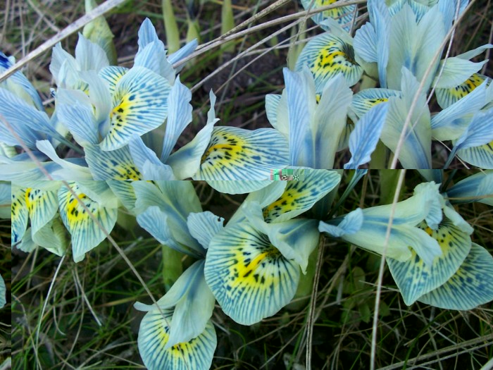 Obraz 291_1024x768.jpg