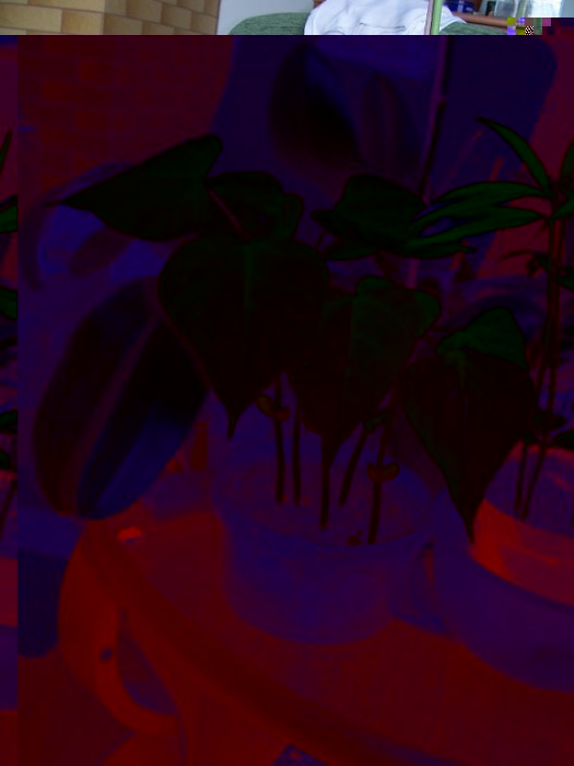 Obraz 336_576x768.jpg