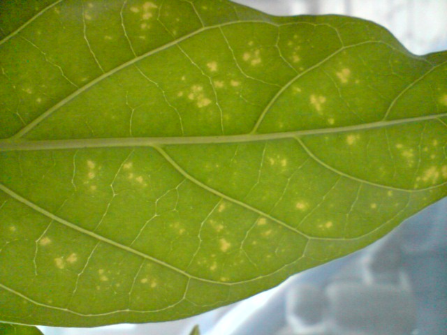 P050310_15.51.JPG P050310_15.51.JPG