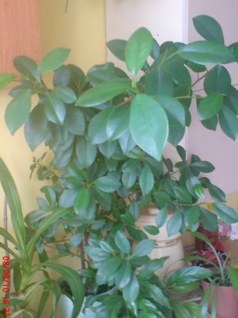 Zmiana rozmiaruRotation of DSC00465.JPG