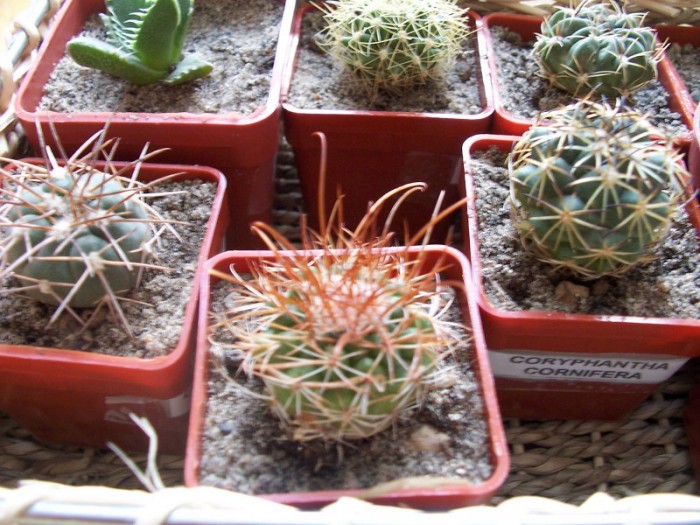 Obraz 242_800x600.jpg