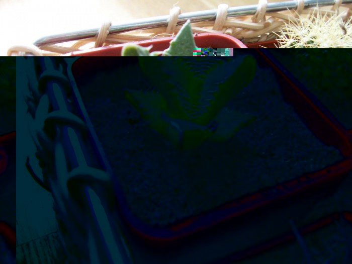 Obraz 243_800x600.jpg