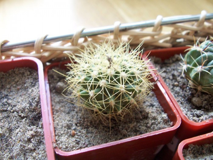 Obraz 244_800x600.jpg